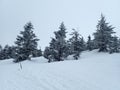 krkonose mountains in winter with snow Royalty Free Stock Photo