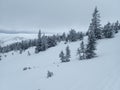 krkonose mountains in winter with snow Royalty Free Stock Photo