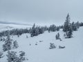 krkonose mountains in winter with snow Royalty Free Stock Photo