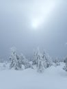 krkonose mountains in winter with snow Royalty Free Stock Photo