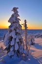 Krkonose nature sunset giant mountain