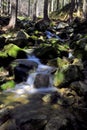 Krkonose stream