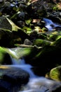 Krkonose stream