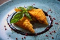 Krokiety - Polish style croquettes filled with beef Royalty Free Stock Photo