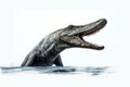 Kronosaurus. Dinosaur, realistic image with white background Royalty Free Stock Photo