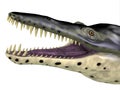 Kronosaurus Reptile Head Royalty Free Stock Photo