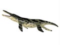 Kronosaurus Reptile Side Profile