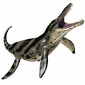 Kronosaurus on White Royalty Free Stock Photo