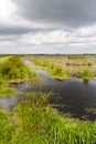 Kropswolderbuitenpolder, Groningen (Nederland / Netherlands)