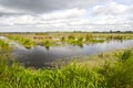 Kropswolderbuitenpolder, Groningen (Nederland / Netherlands)