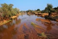 Kruger National Park landscape