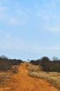 Kruger National Park, Limpopo and Mpumalanga provinces, South Africa, dirt road, 4x4 Royalty Free Stock Photo