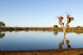 Kruger National Park: Lower Sabie Sunset Dam