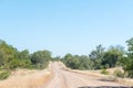 Landscape on road S52 near Shingwedzi