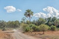 Landscape on the road to Crooks Corner