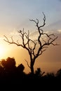 Kruger Park Sunrise Royalty Free Stock Photo