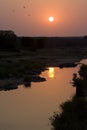 Krugerpark, South-Africa Royalty Free Stock Photo