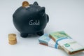 A Krugerrand gold coin is stuck in a piggy bank Royalty Free Stock Photo