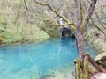 The Krupaj springs , an ecological oasis Royalty Free Stock Photo