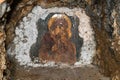 Fresco of Mary mother of Jesus Christ Bogorodica: serbian on stone.