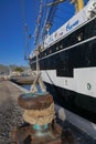 Krusenstern four-masted barque, Russian sail training ship Royalty Free Stock Photo