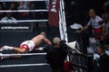 Krzysztof Glowacki L lying down on the ring after knockout KO Royalty Free Stock Photo