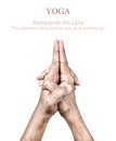 Ksepana mudra Royalty Free Stock Photo