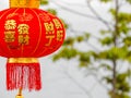 Lantern Chinese New Year closeup during Chinese New Year festival. Royalty Free Stock Photo