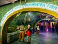 Visitor watching the freshwater fish at the National Science Centre