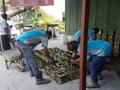 Preparation of concrete cube for concrete compression and strength test in the laboratory.