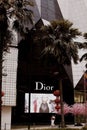 Modern fashion boutique dior with palm trees