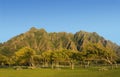 Kualoa Regional Beach Park, Hawaii Royalty Free Stock Photo