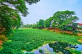 Kuang River with water hyacinth population, Lamphun, Thailand