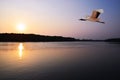 Kuantan river, Kuantan, Malaysia. Royalty Free Stock Photo