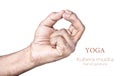 Kubera mudra Royalty Free Stock Photo