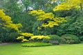 Kubota Garden, Seattle