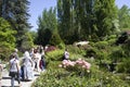 Kubota garden Seattle, Japanese style spring