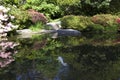 Kubota Japanese garden with pond, Seattle, May Royalty Free Stock Photo