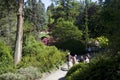 Kubota Japanese garden, Seattle, May