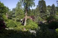 Kubota Japanese garden Seattle Washington