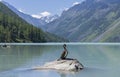 Kucherla lake. Big black cormorant sitting on a rock.