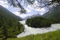 Kucherlinskoe lake, Altay, Russia Royalty Free Stock Photo