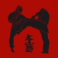 Kudo martial arts fighters illustration