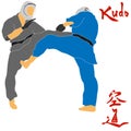 Kudo martial arts fighters illustration