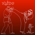 Kudo martial arts fighters illustration