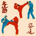 Kudo martial arts fighters illustration