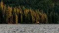 Kudo\'s to whoever put this flag up at Muchalat Lake on Vancouver Island, British Columbia, Canada Royalty Free Stock Photo