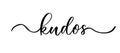 Kudos - vector calligraphic inscription with smooth lines Royalty Free Stock Photo