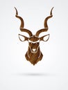 Kudu head front view