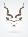 Kudu head front view